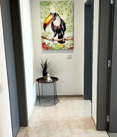 Apartament Rooftop Estreladomar Newopening- 150m To The Carvoeiro (Lagoa)