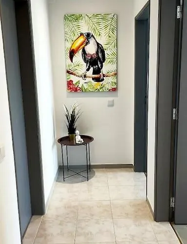 Daire Rooftop Estreladomar Newopening- 150m To The Carvoeiro (Lagoa)